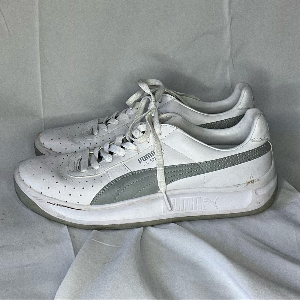 White puma with grey